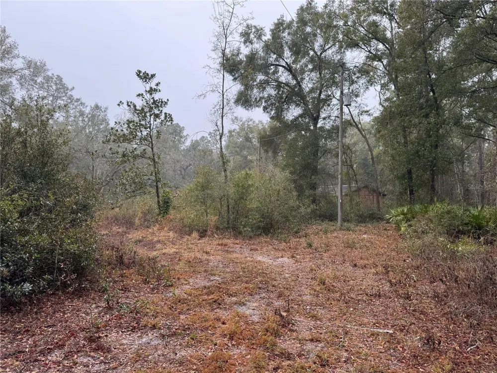 2795 SE 21ST AVENUE Sumterville, FL 33585