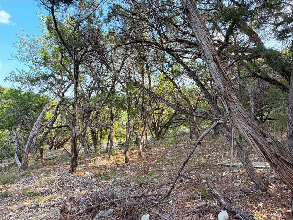 1362 Rockmoor Canyon Lake, TX 78133