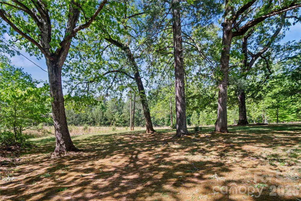 283 Constant Lane Columbus, NC 28722