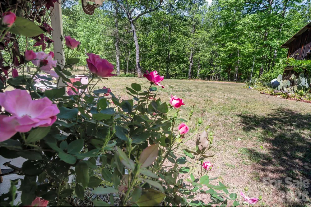 283 Constant Lane Columbus, NC 28722