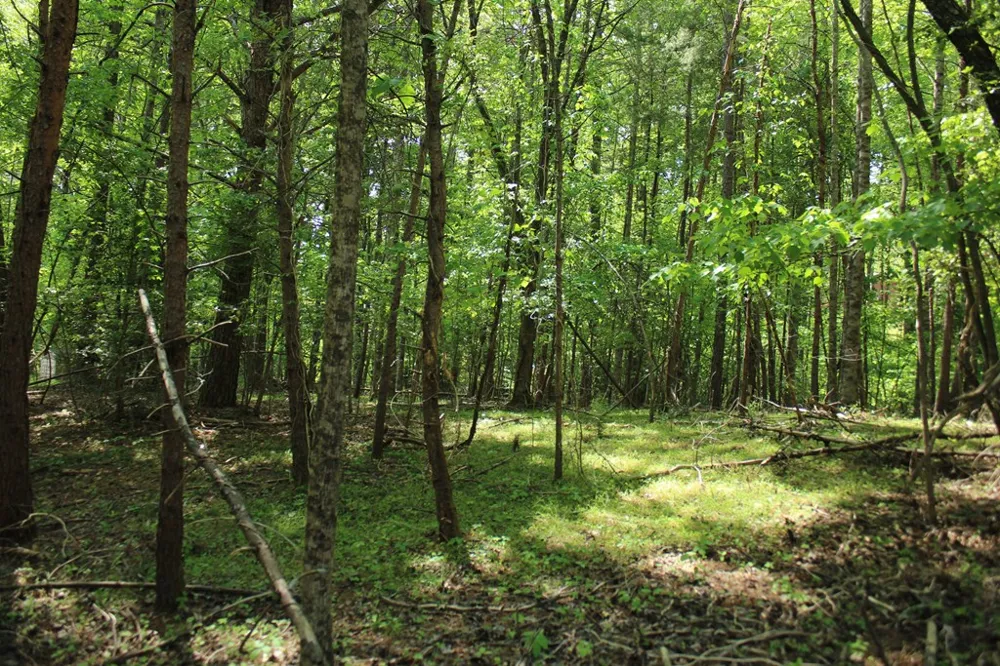 46 Chatuge Lane Hayesville, NC 28904