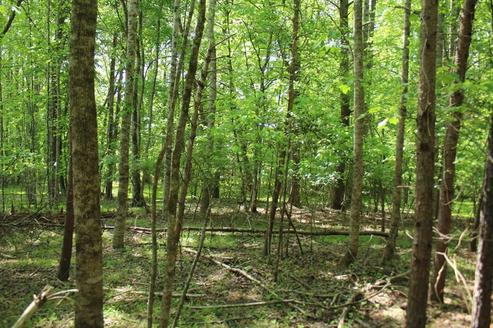 46 Chatuge Lane Hayesville, NC 28904