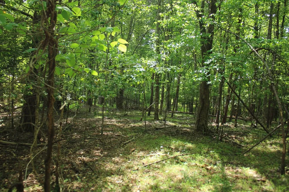 46 Chatuge Lane Hayesville, NC 28904