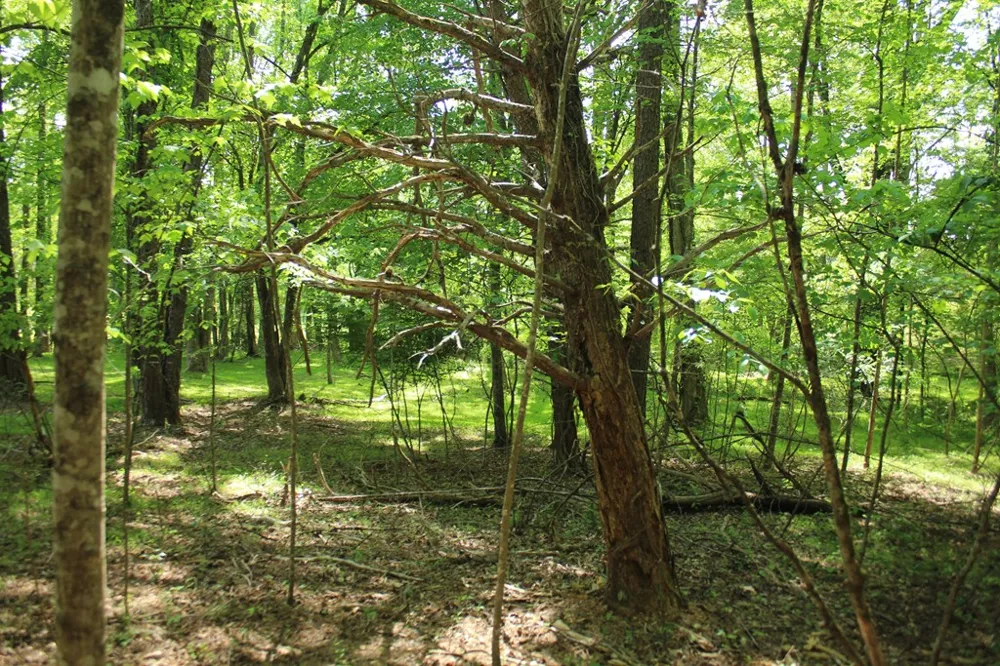 46 Chatuge Lane Hayesville, NC 28904
