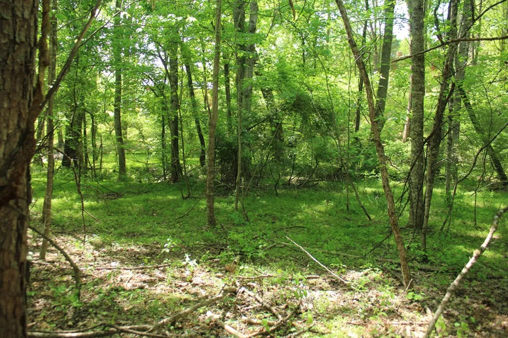 46 Chatuge Lane Hayesville, NC 28904