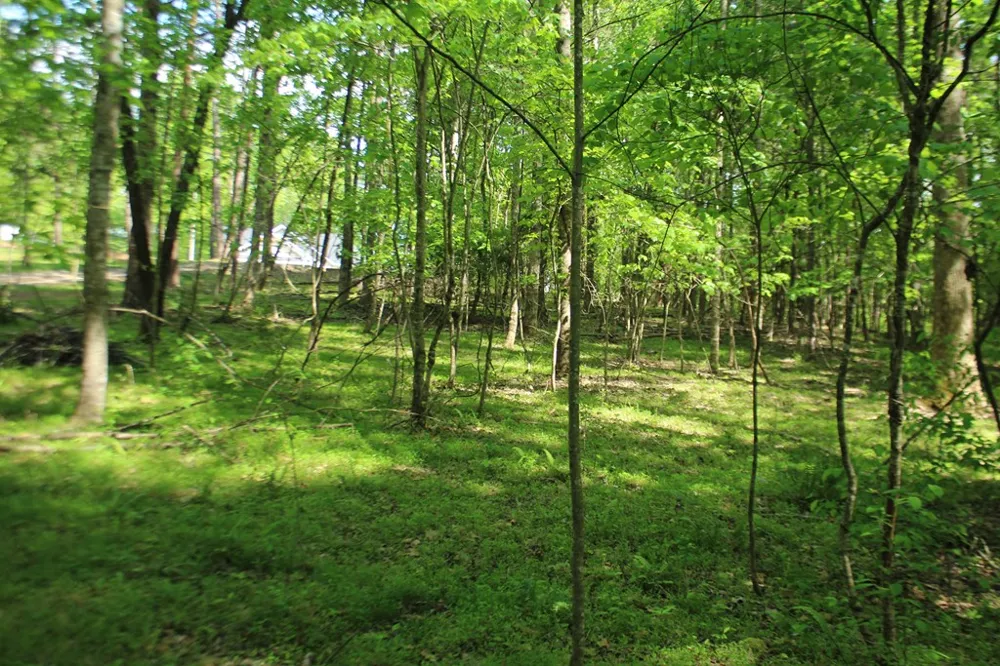 46 Chatuge Lane Hayesville, NC 28904