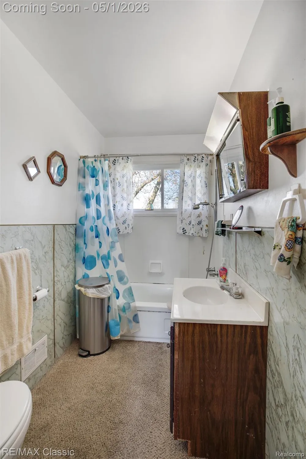 11024 Dennison Road Milan Township, MI 48160