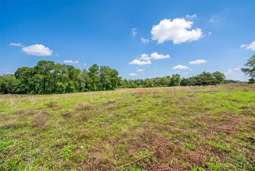 144 Century Lane Bellville, TX 77418