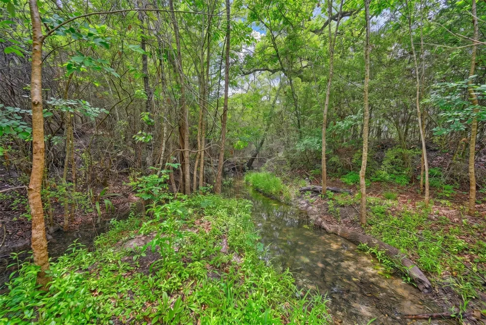 144 Century Lane Bellville, TX 77418