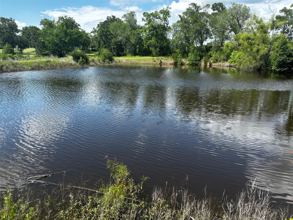 144 Century Lane Bellville, TX 77418