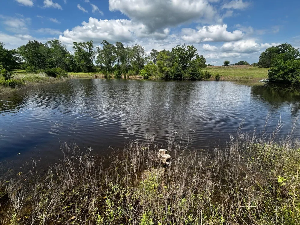 144 Century Lane Bellville, TX 77418