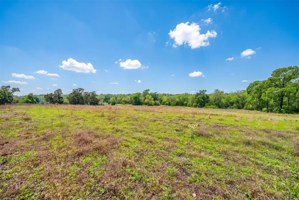 144 Century Lane Bellville, TX 77418