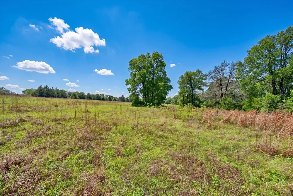 144 Century Lane Bellville, TX 77418