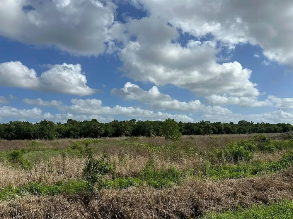 HOWARD AVENUE Oviedo, FL 32765
