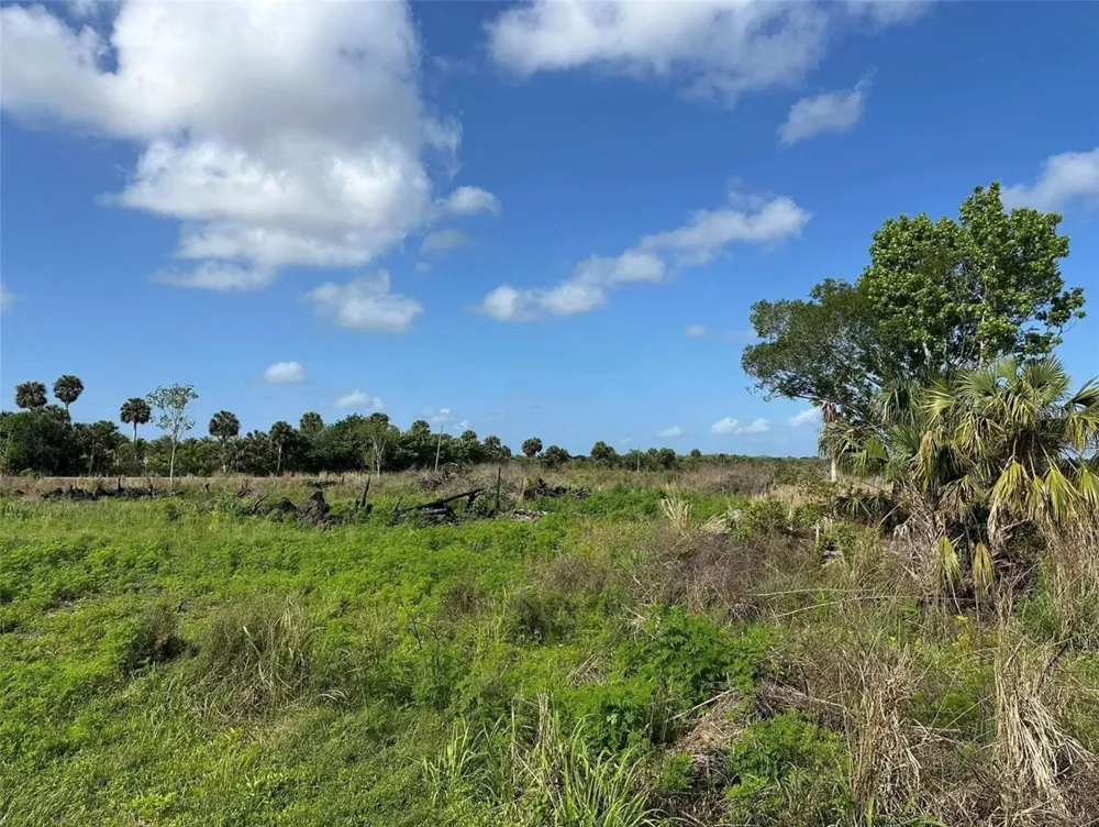 HOWARD AVENUE Oviedo, FL 32765