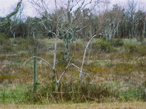 27235 Fm-2004