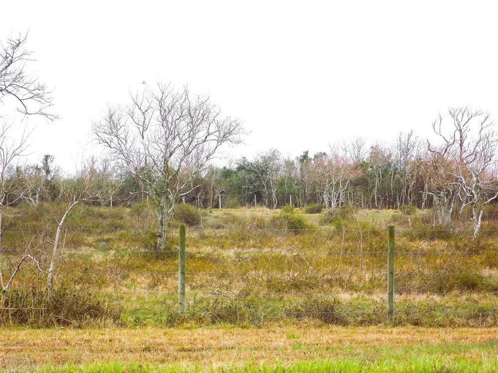 27235 Fm-2004 Angleton, TX 77515