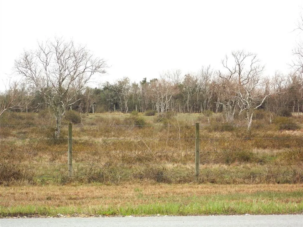 27235 Fm-2004 Angleton, TX 77515