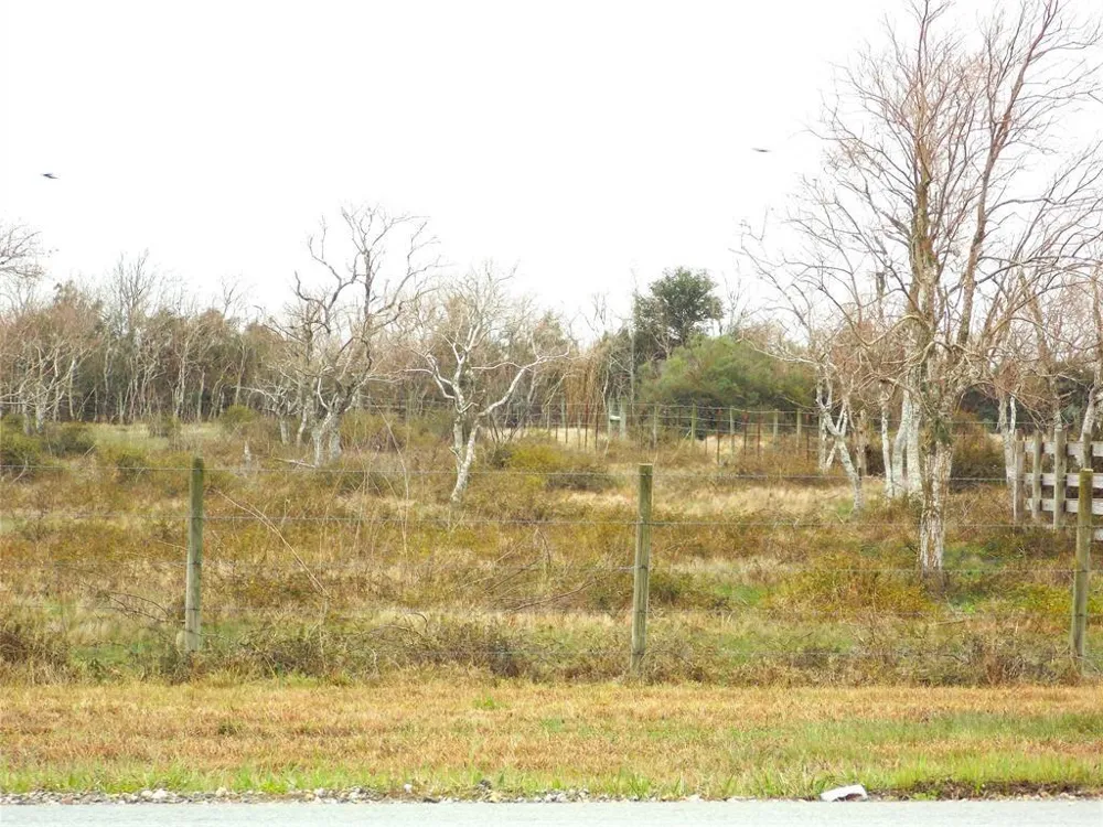27235 Fm-2004 Angleton, TX 77515