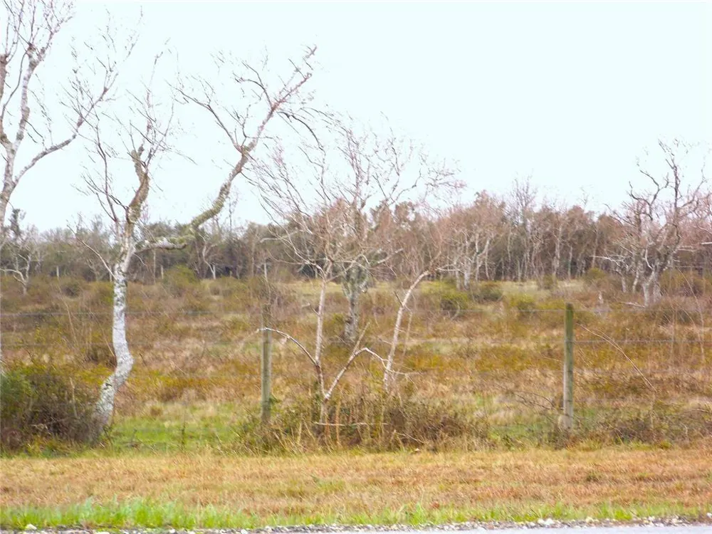 27235 Fm-2004 Angleton, TX 77515