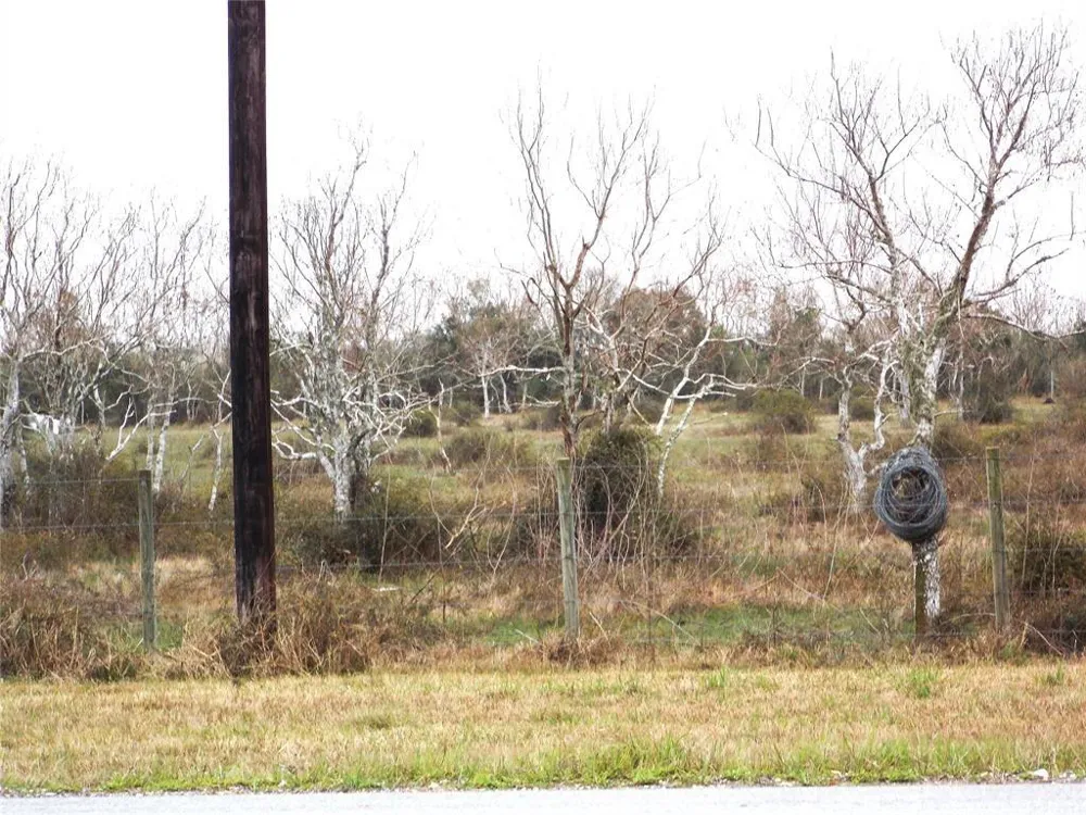 27235 Fm-2004 Angleton, TX 77515
