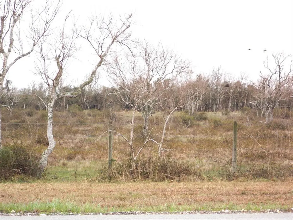 27235 Fm-2004 Angleton, TX 77515