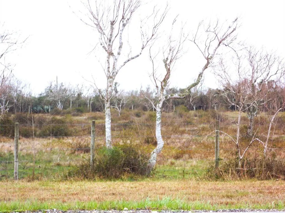27235 Fm-2004 Angleton, TX 77515