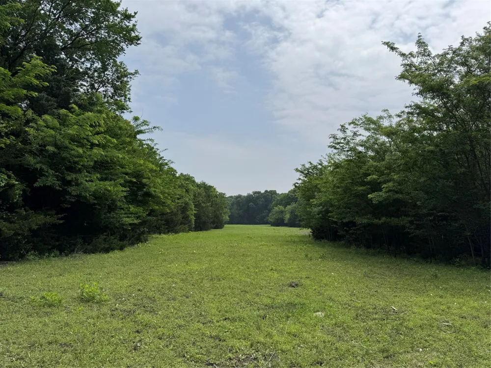 6910 County Road 1218 McKinney, TX 75071