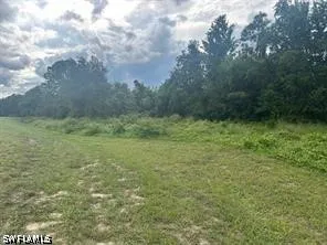 SUNSET VISTA BOULEVARD Kissimmee, FL 34747