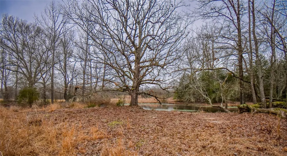 PR 8903 Athens, TX 75752