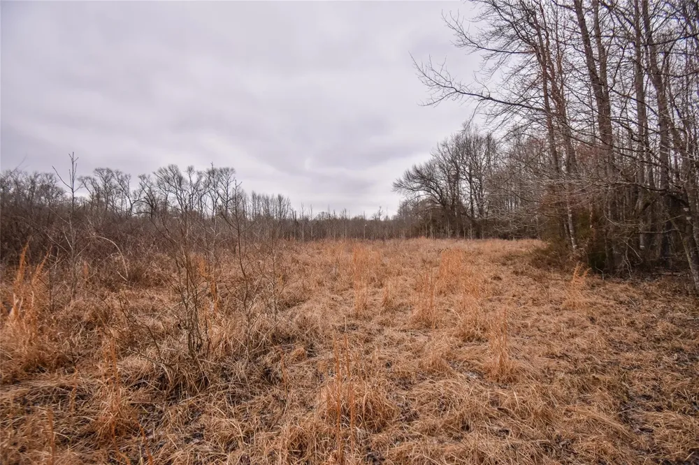 PR 8903 Athens, TX 75752