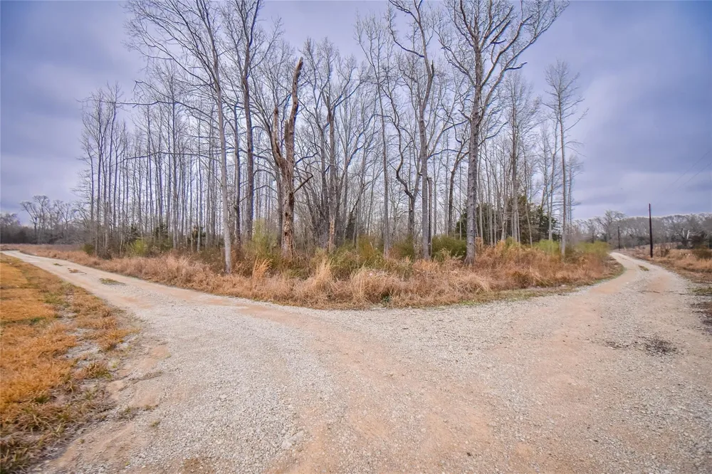PR 8903 Athens, TX 75752