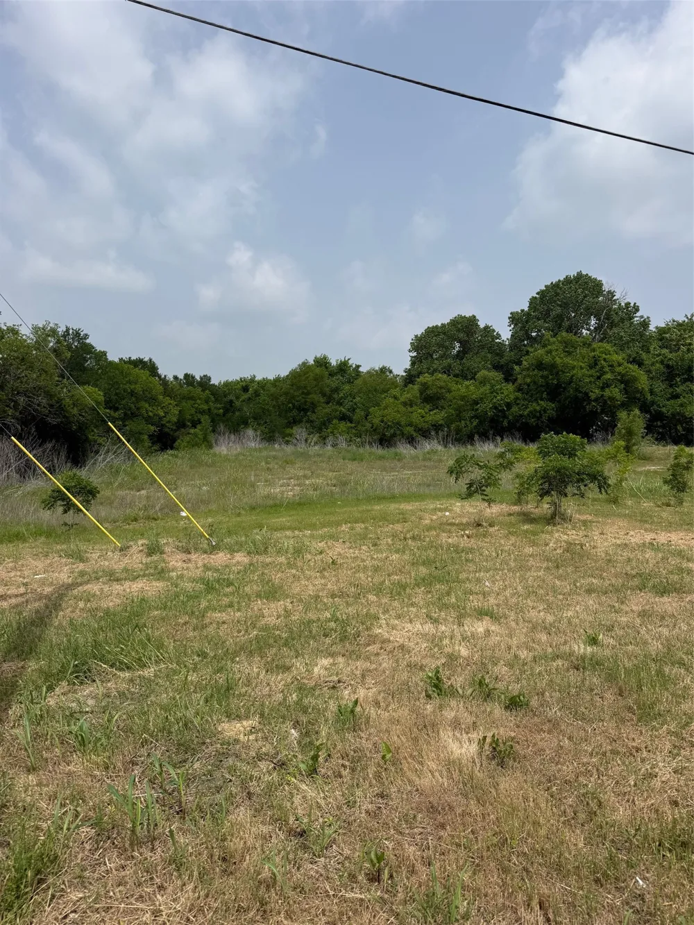 430 Dallas Street Palmer, TX 75152