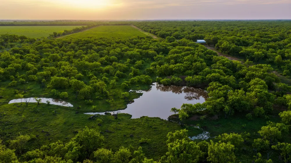10000 Fm 209 Graham, TX 76450