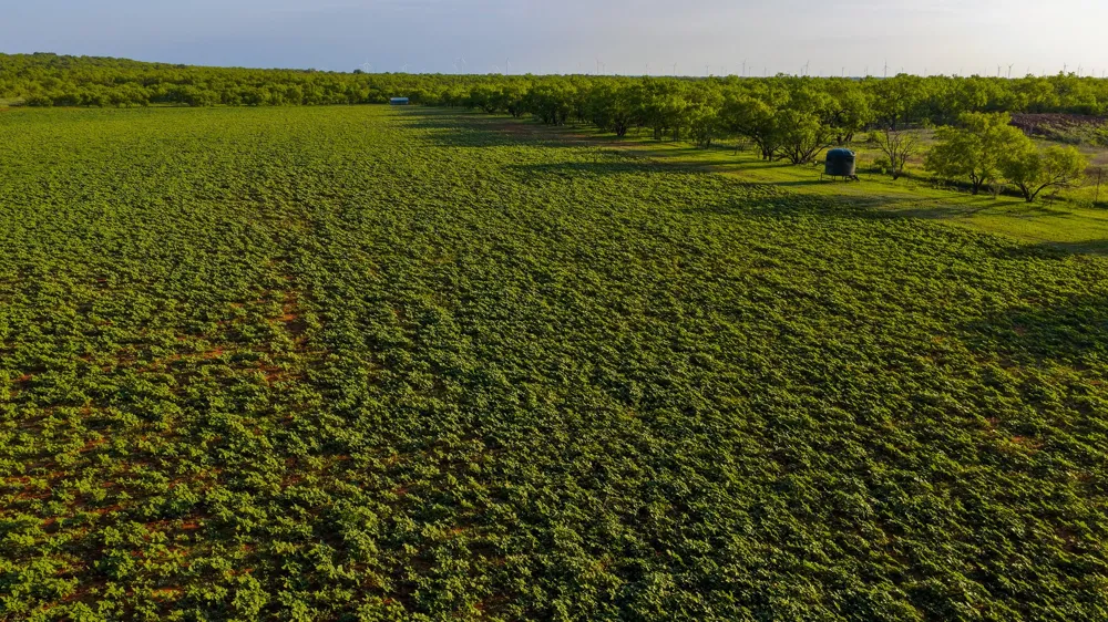 10000 Fm 209 Graham, TX 76450