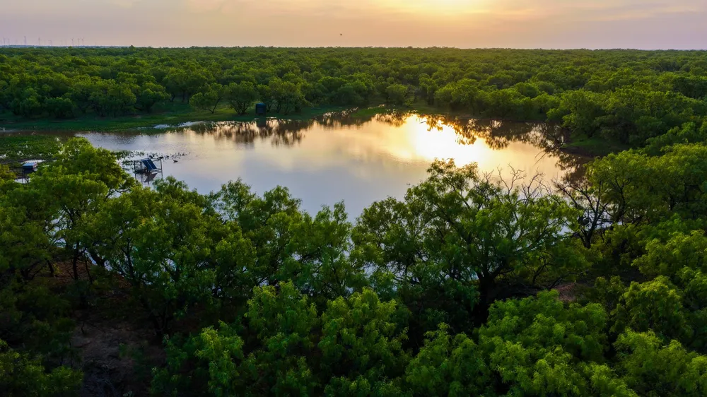 10000 Fm 209 Graham, TX 76450