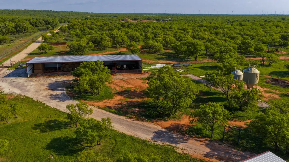 10000 Fm 209 Graham, TX 76450