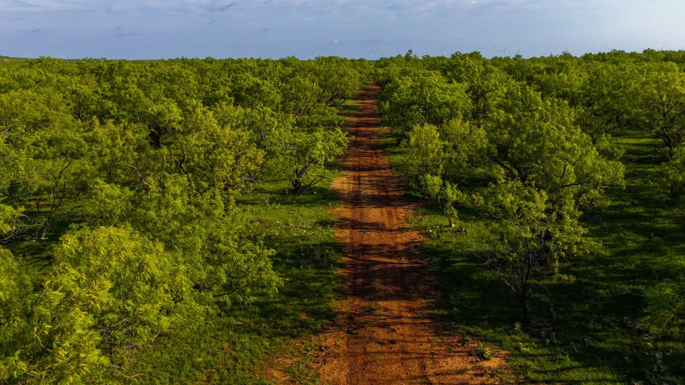 10000 Fm 209 Graham, TX 76450