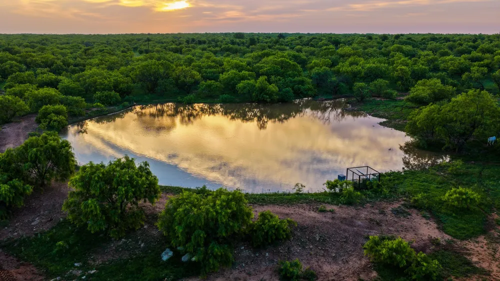 10000 Fm 209 Graham, TX 76450