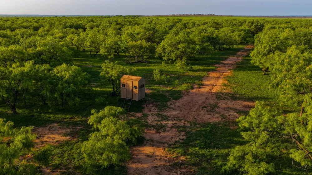 10000 Fm 209 Graham, TX 76450