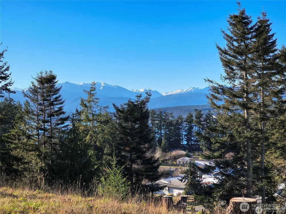 188 S Rhododendron Dr. Port Townsend, WA 98368