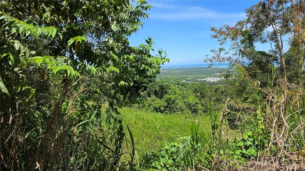 Zarzal Arriba CARR. 966 KM 2.3 #K Rio Grande, PR 00745
