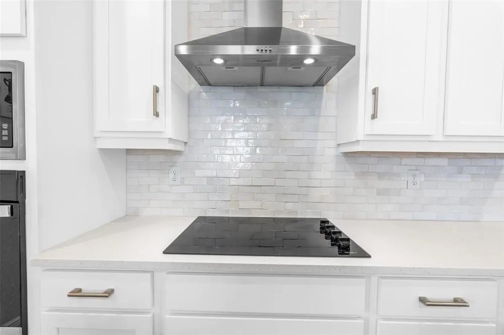 2019 SUNSHINE PEAK DRIVE Minneola, FL 34715