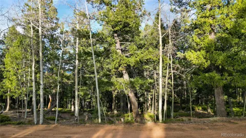 68 Yale Place