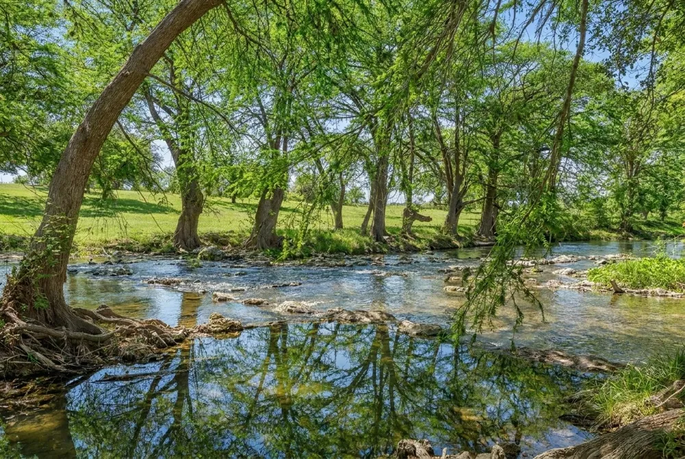 730 Mather Street E #F-102 New Braunfels, TX 78130