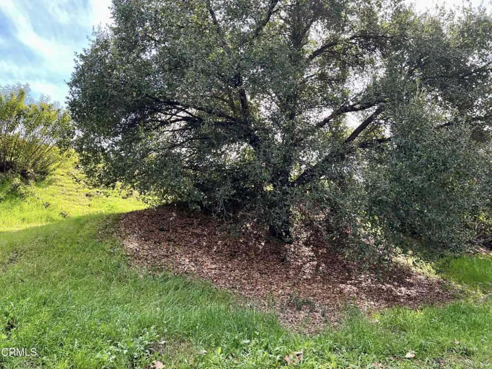 190 Sycamore Lane Bradbury, CA 91008