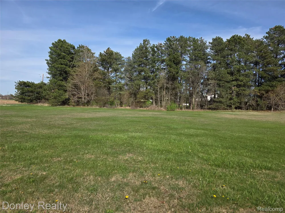 2100 W Sanilac Road Moore Township, MI 48471