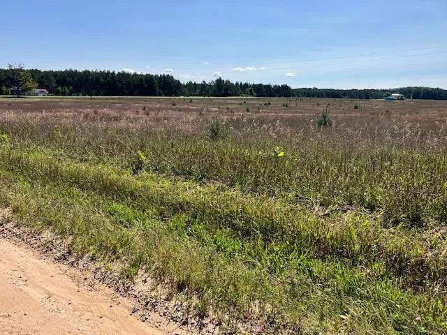 4 Horseshoe Trail Bay Township, MI 49770