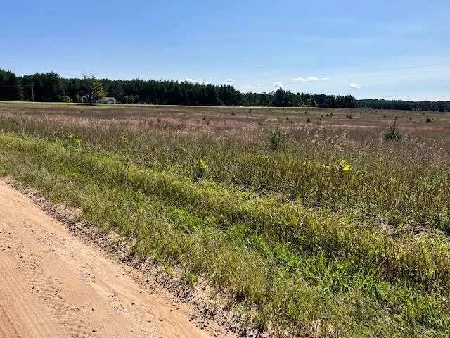 4 Horseshoe Trail Bay Township, MI 49770