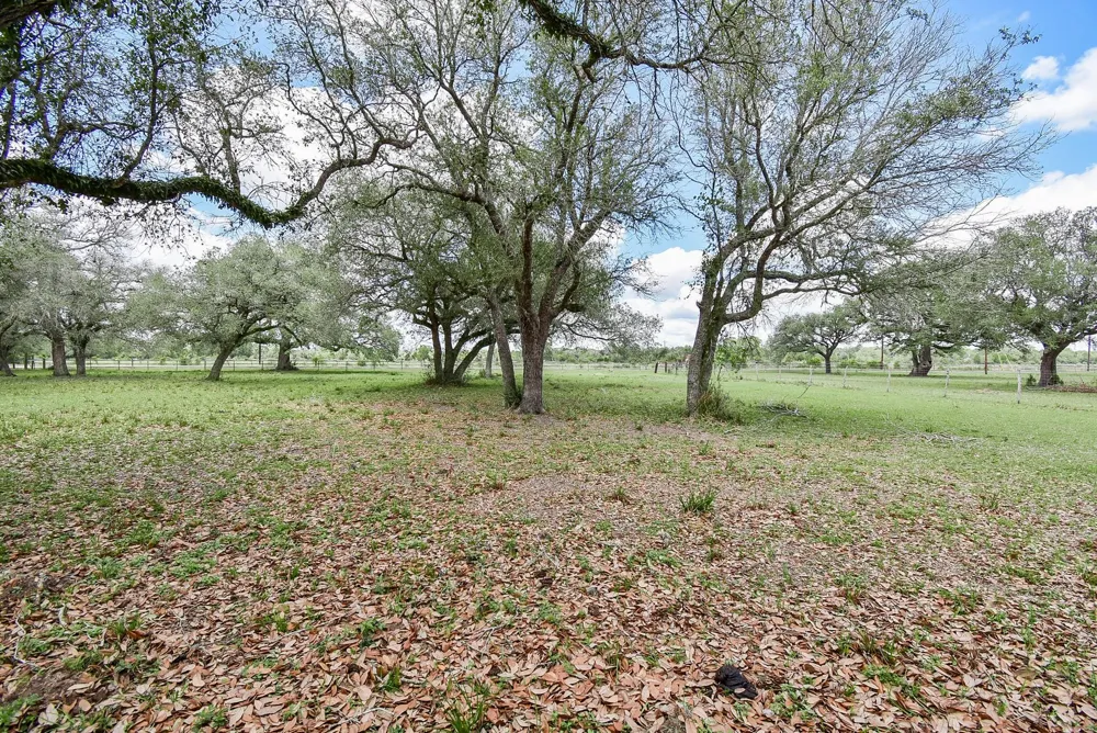 4427 County Road 382 Louise, TX 77455